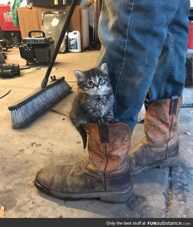 You always need a boot kitten