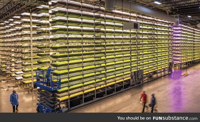 Indoor vertical farm