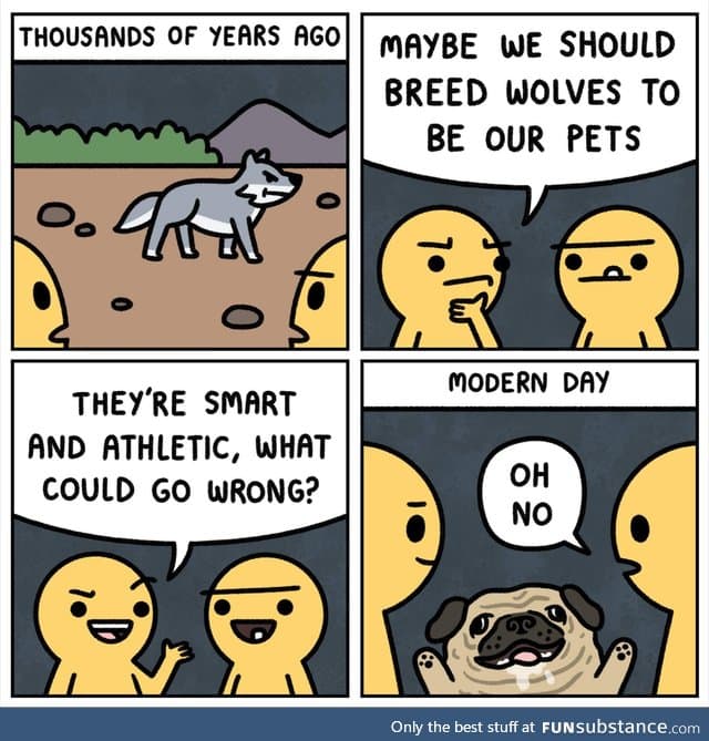 Pugs are ugly and useless