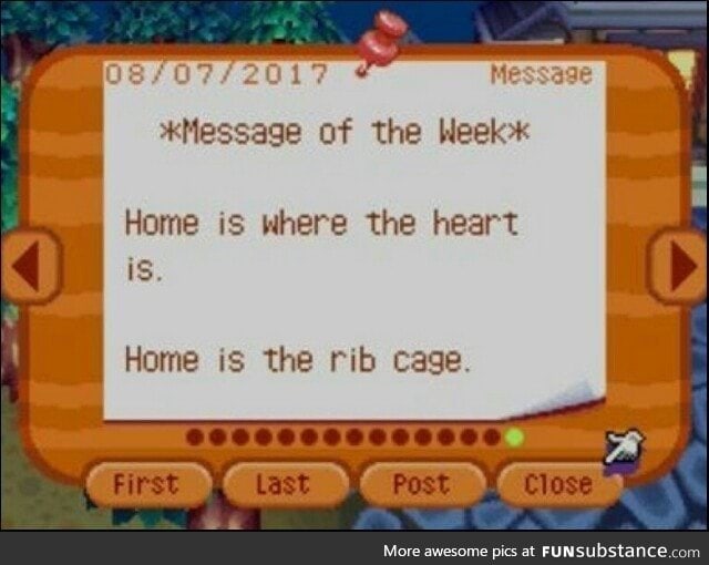 Ds message. Animal Crossing Bulletin Board. Sick little games first and Forever.
