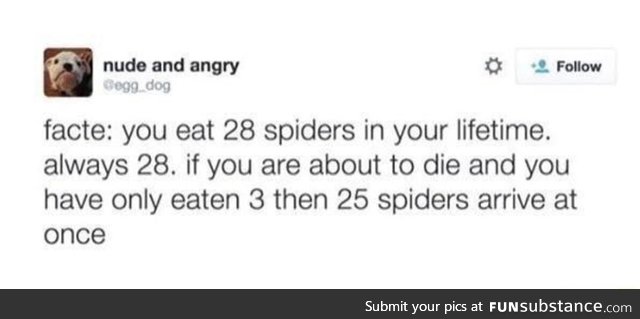 You eat 28 spiders in your lifetime