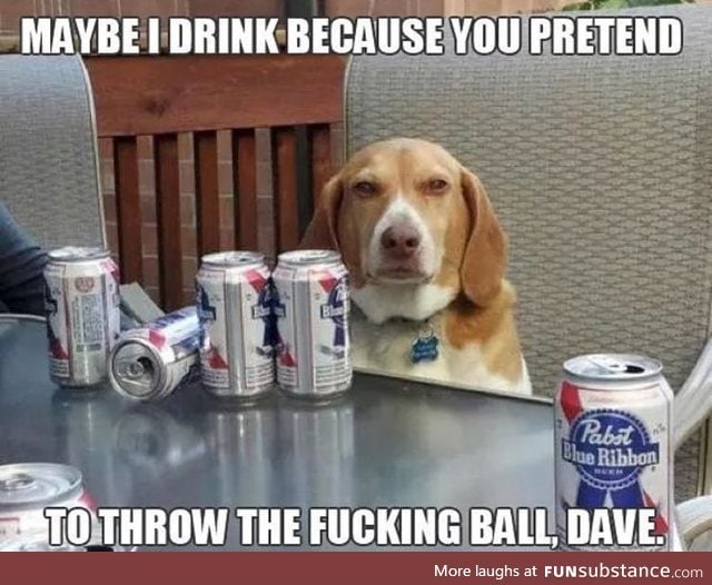 Drunk doggo