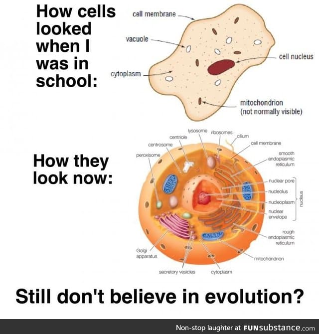 Cellular evolution