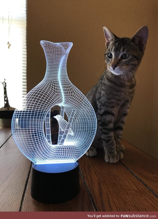 Hologram illusion lamp