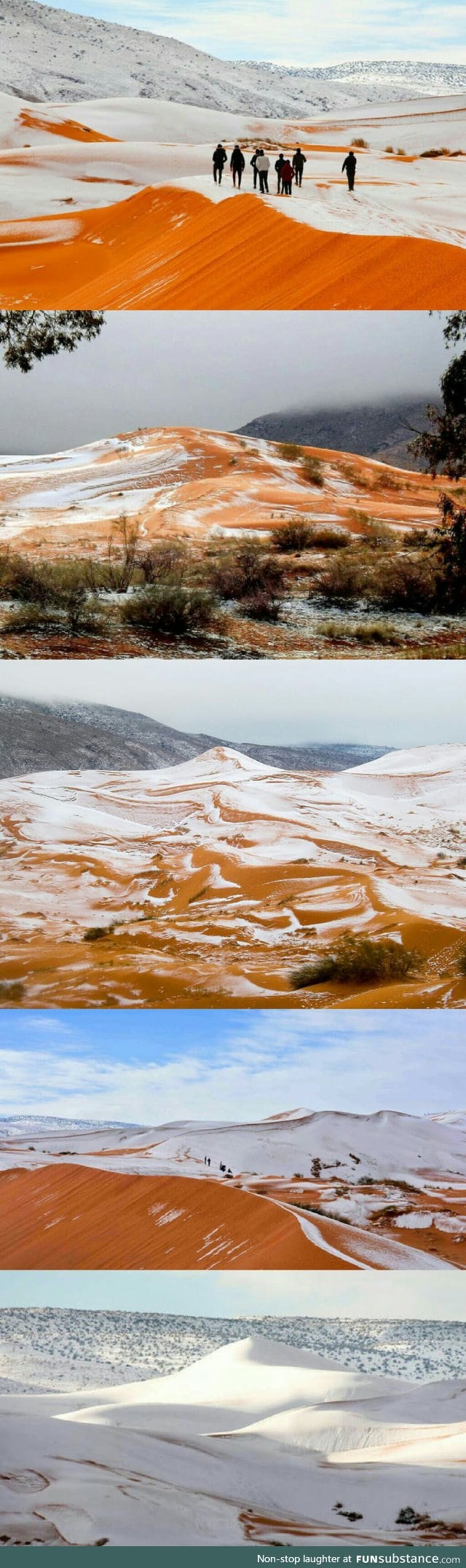 Snow in Sahara. Yup. We definitely need some of that global warming.