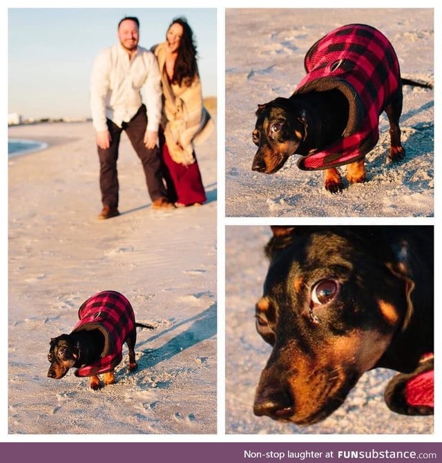 When you take engagement photos in 20 degree weather