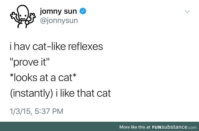 Cat cat cat