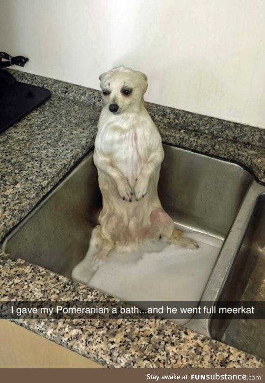 The consequences of a bath