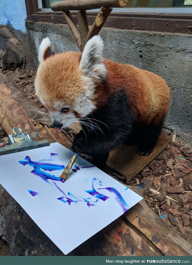 Sorrel the Red Panda doing some painting