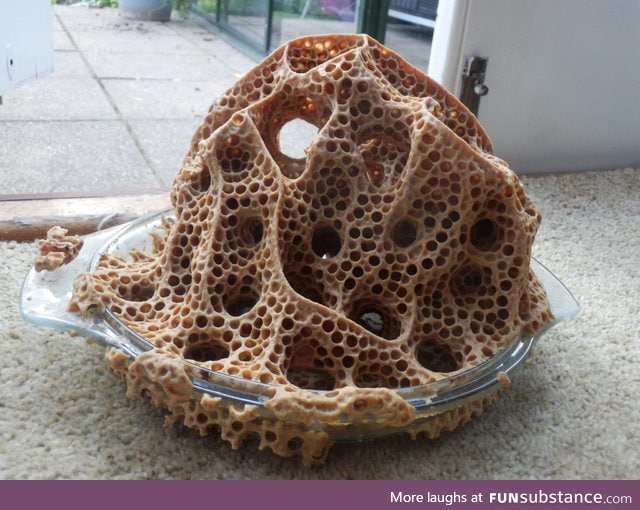 Bees made a nest in a glass bowl