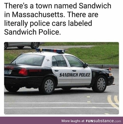 A sandwich a day... 1