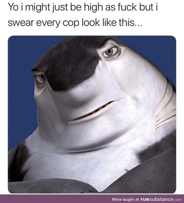 Does a cop look like this?