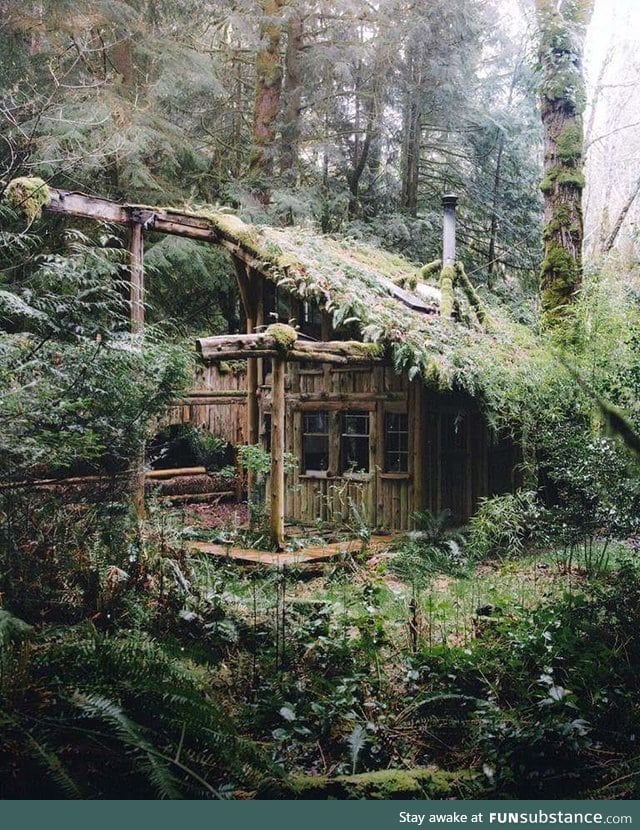 Forest cabin in Washington state