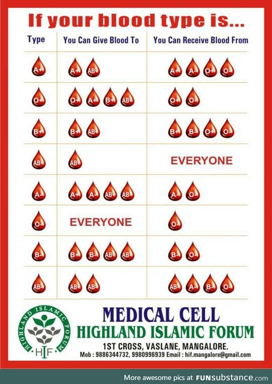 Easy blood type guide