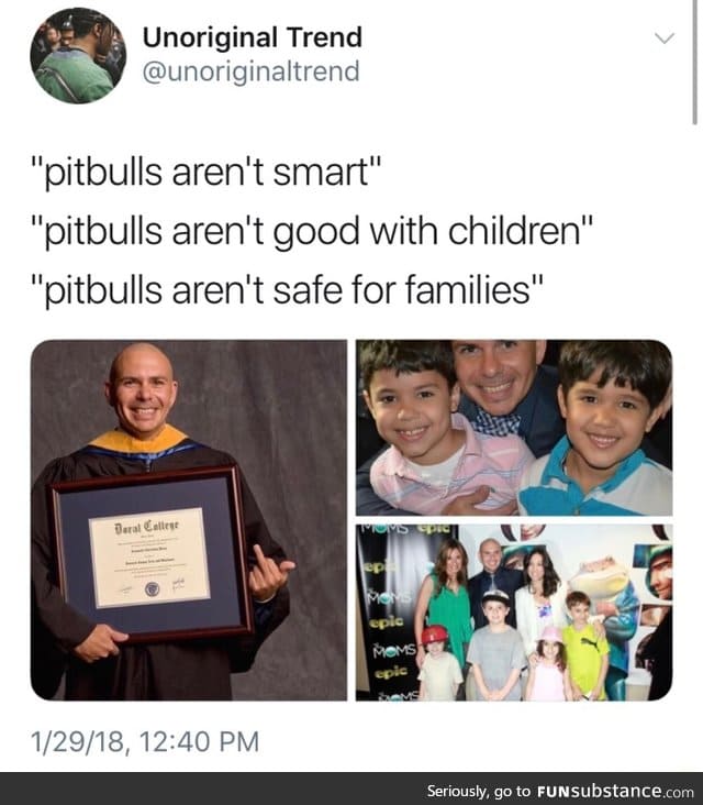 Pitbull is human too