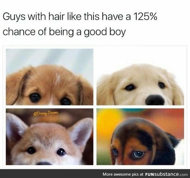 They’re good bois