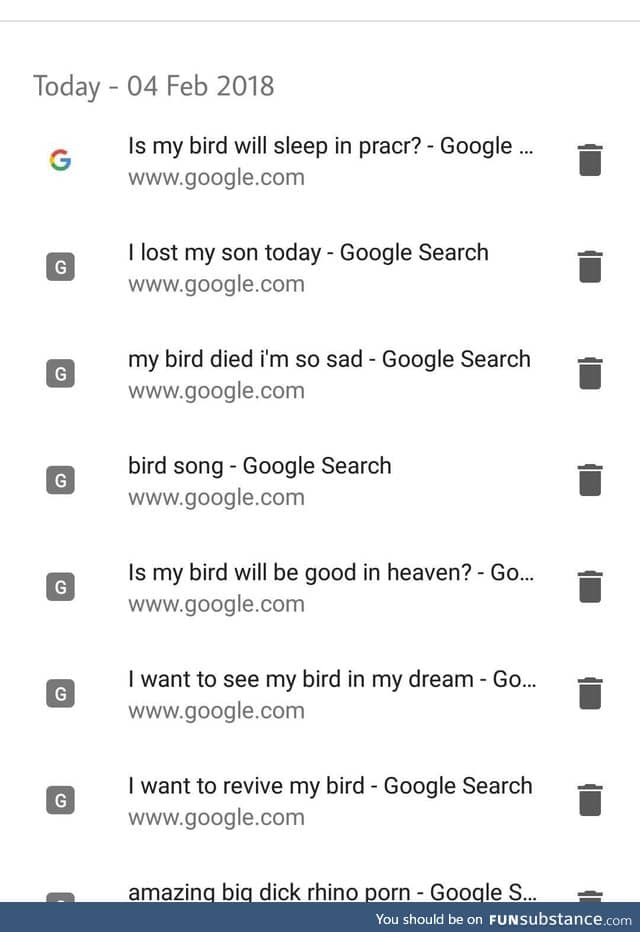 Simone's bird died. Spotted in his google history. So sad