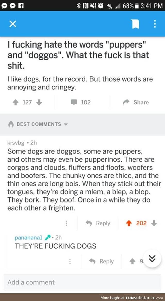 They are just dogs