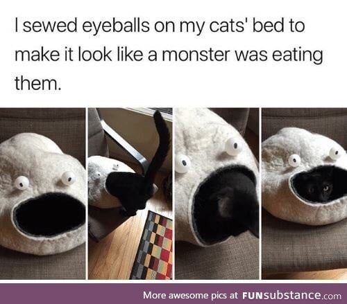 Cat eater