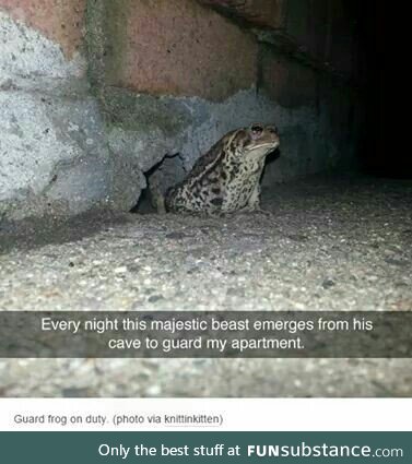 Guard frog.