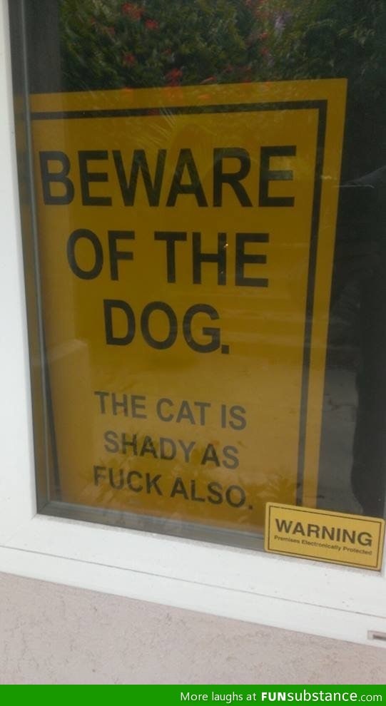 Beware of the cat also