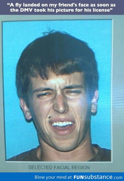 Driver's license picture