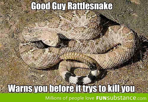 Good guy rattlesnake