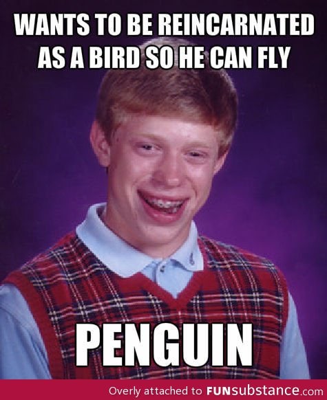 Bad luck brian bird