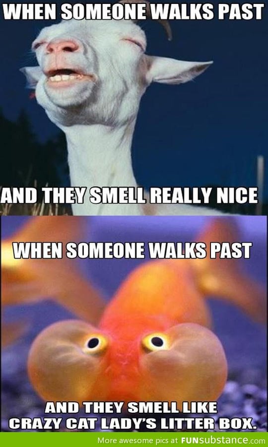 The smell when someone walks past