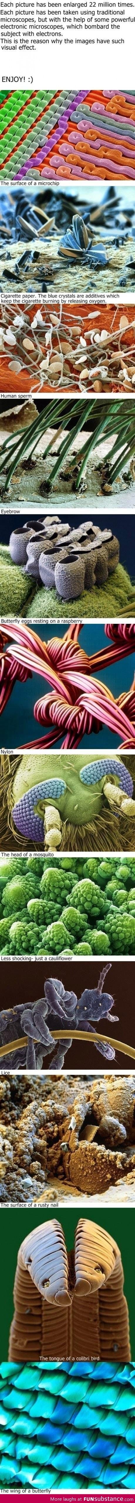 Under a microscope