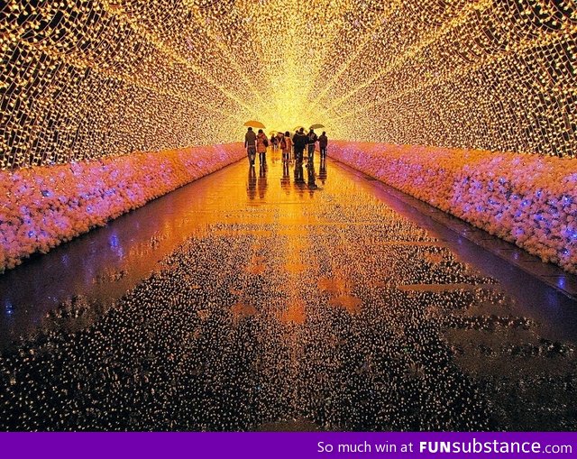 Light festival in japan