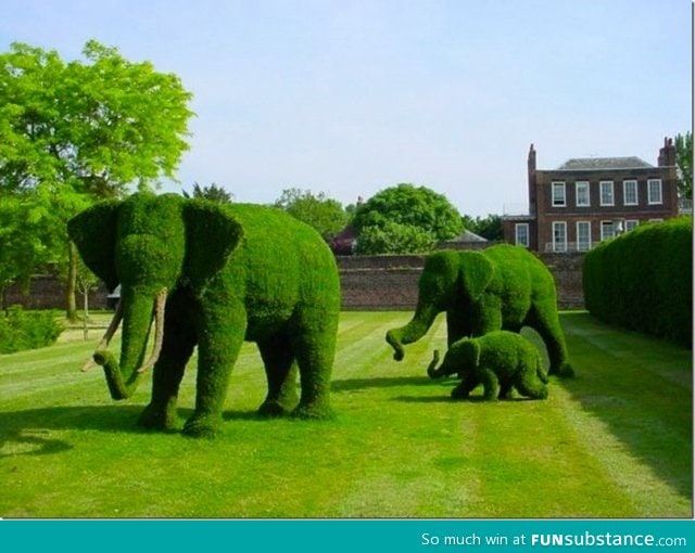 The best lawn art I've seen in a while