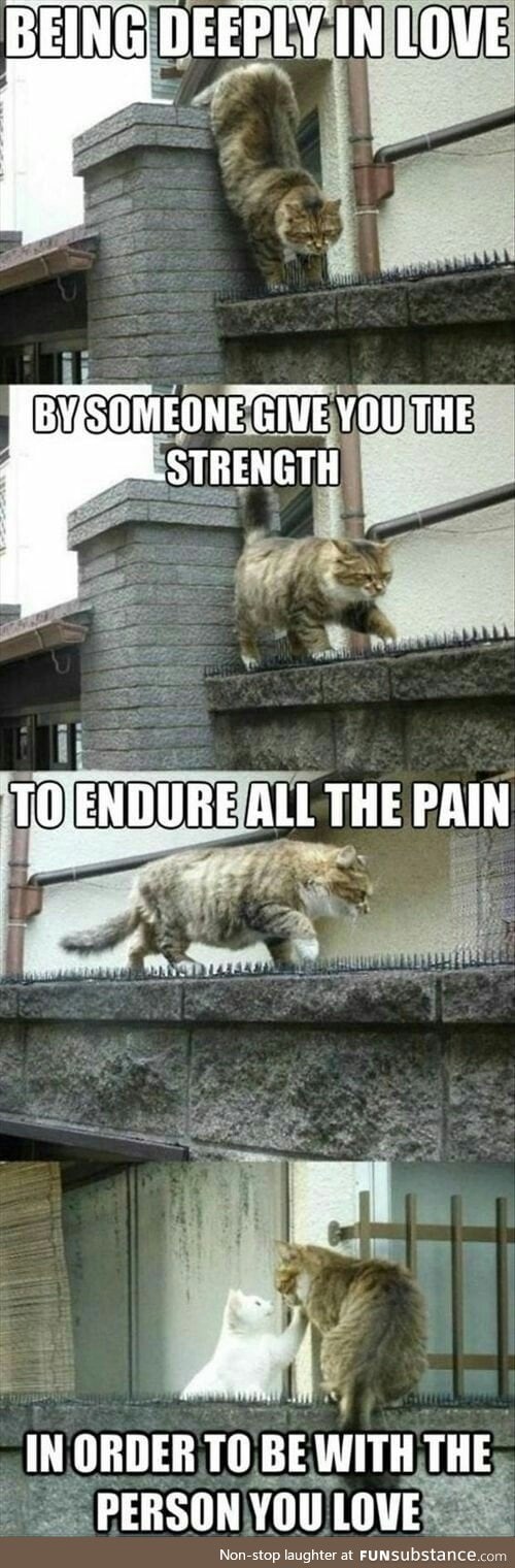 True love endures pain.