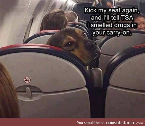 Kick my seat again