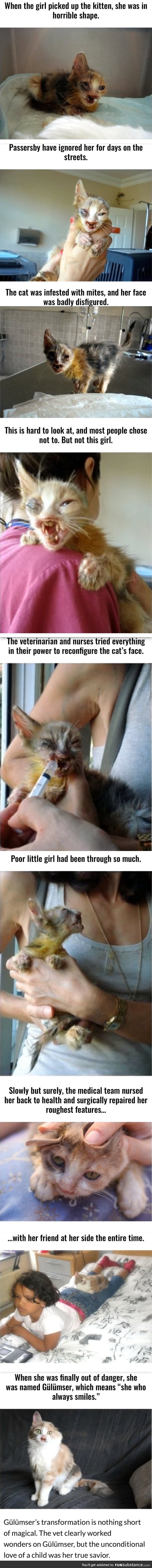 Girl rescues kitty off the streets