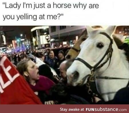 OK but I'm Just A Horse