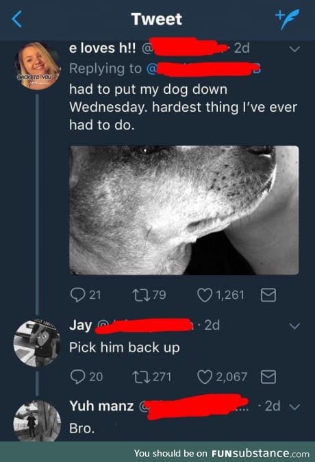 Putting the dog down