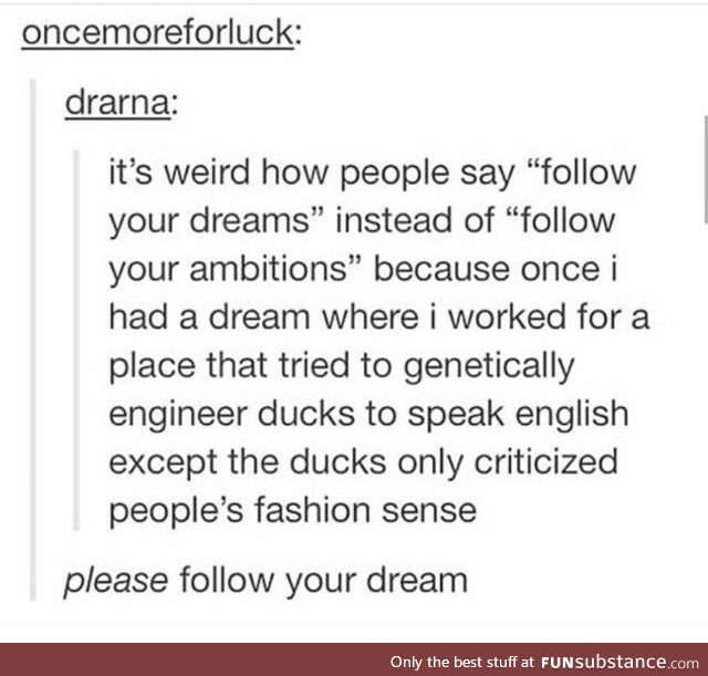 Follow your dream yo