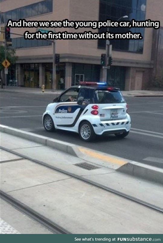 Young police car spotted