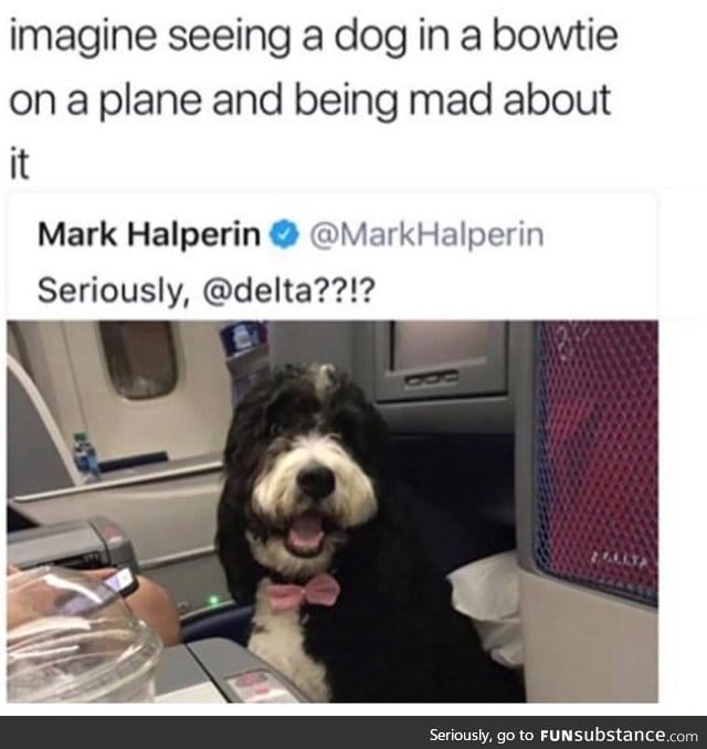 Kick him off the plane