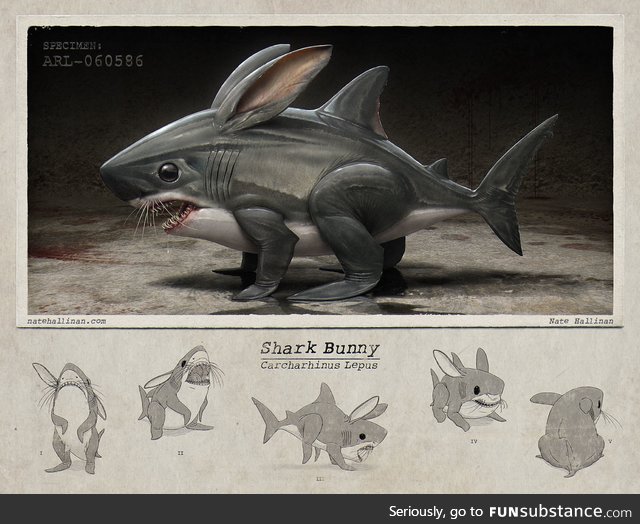 Behold the shark-bunny