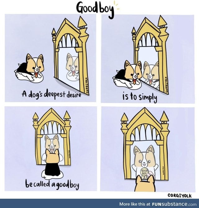 Call your dog a goodboi now