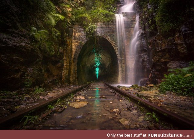 "glow worms", helensburgh, new south wales, australia