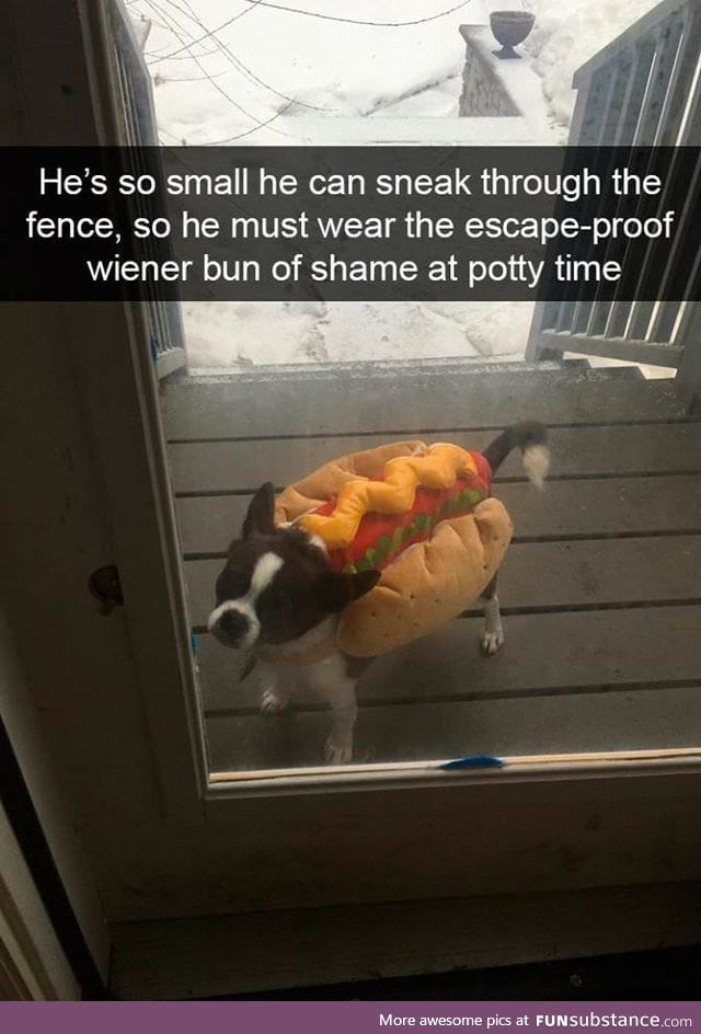 Wiener bun of shame