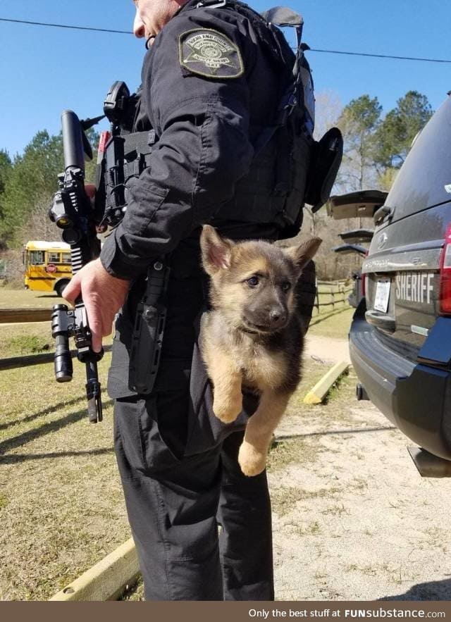 tactical puppy
