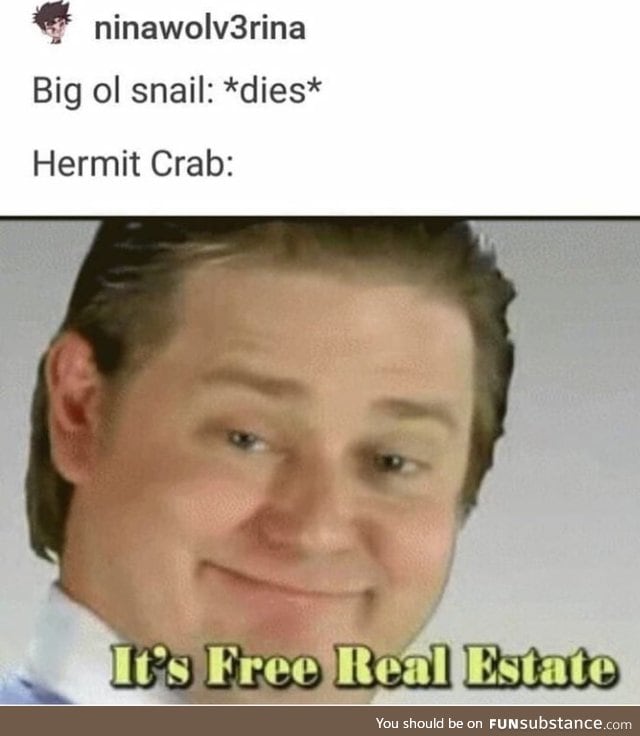 Hermit crab doesn't pay rent