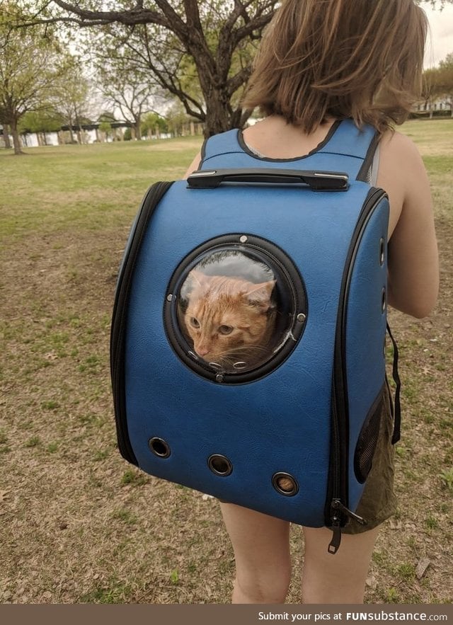 A cat backpack at the park