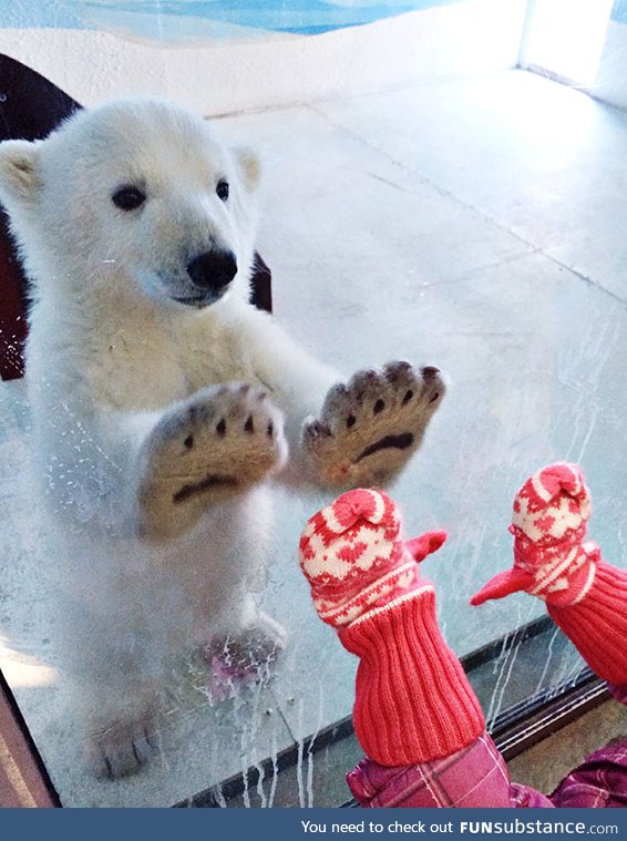 "double high five little hooman!"