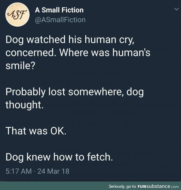 Dogs are wholesome