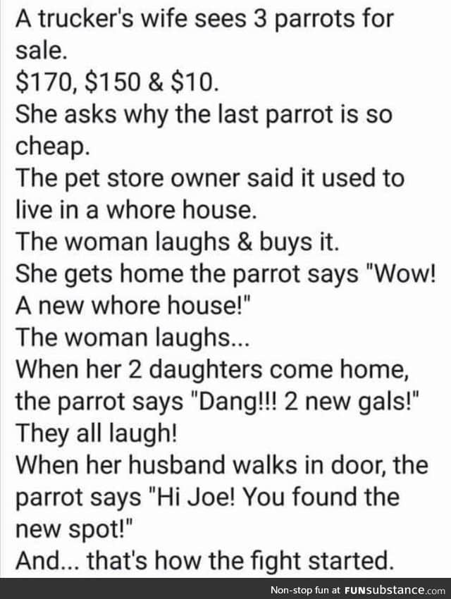 Parrots are assholes